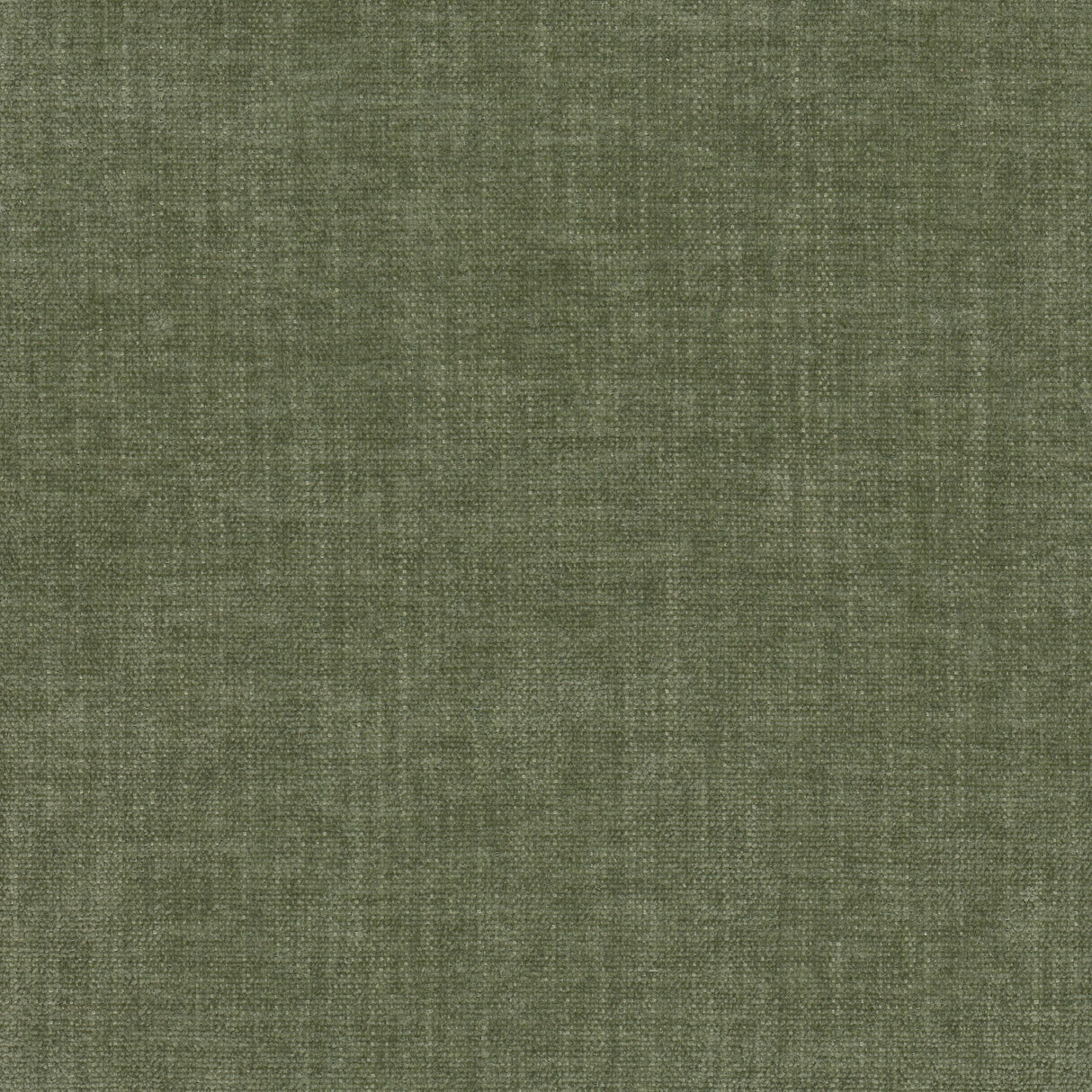 Eade's TREV-1-sample FERN