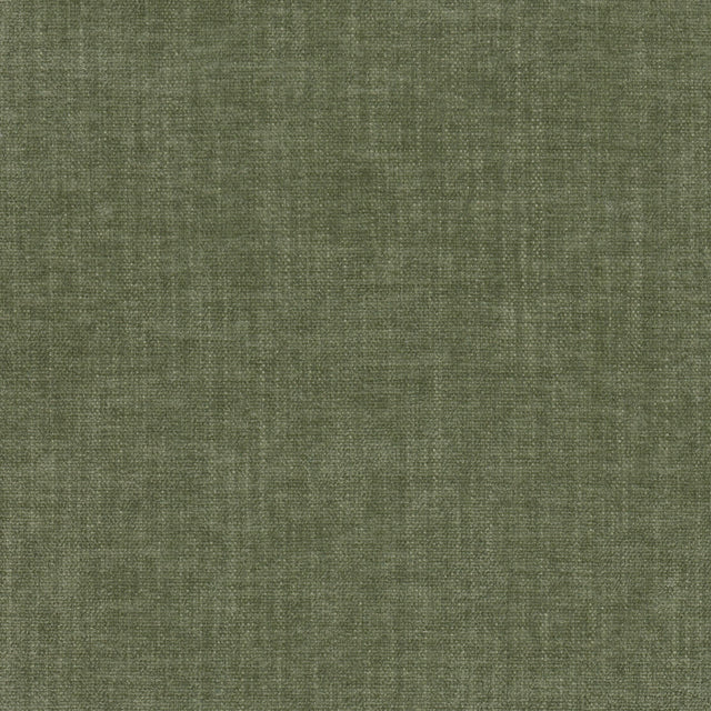 Eade's TREV-1-sample FERN