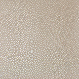 KRAVET DESIGN TREZZO.11.0 KRAVET DESIGN TREZZO-11 Fabric - Eade's Wallpaper
