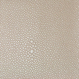 KRAVET DESIGN TREZZO.11.0 KRAVET DESIGN TREZZO-11 Fabric - Eade's Wallpaper
