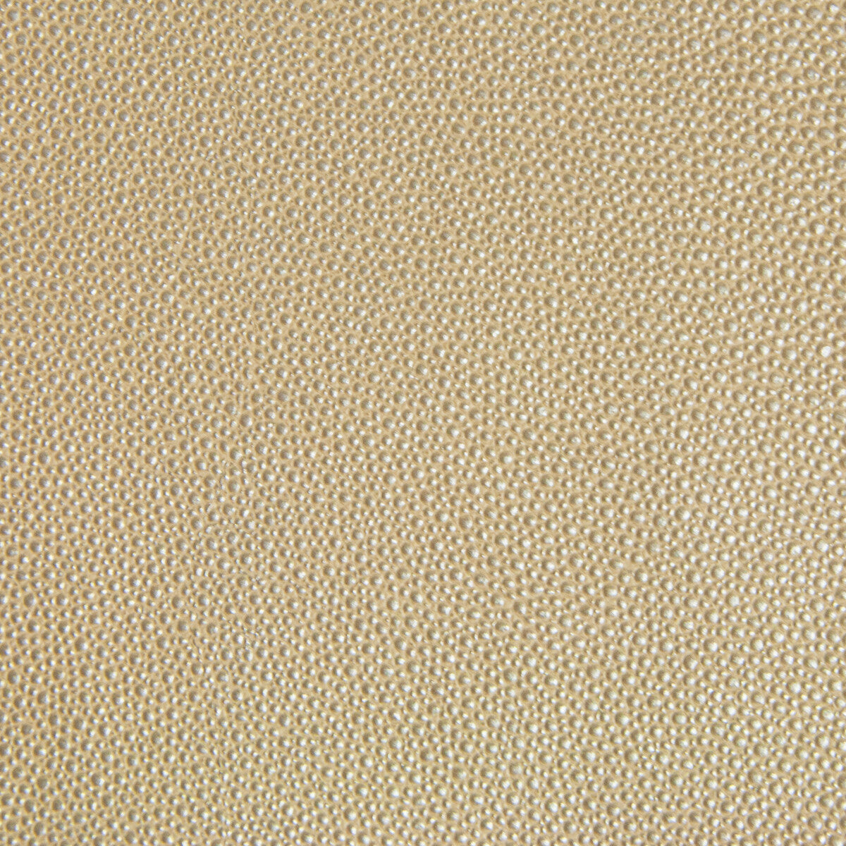 KRAVET DESIGN TREZZO.16.0 KRAVET DESIGN TREZZO-16 Fabric - Eade's Wallpaper