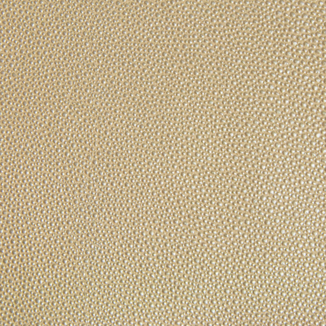 KRAVET DESIGN TREZZO.16.0 KRAVET DESIGN TREZZO-16 Fabric - Eade's Wallpaper