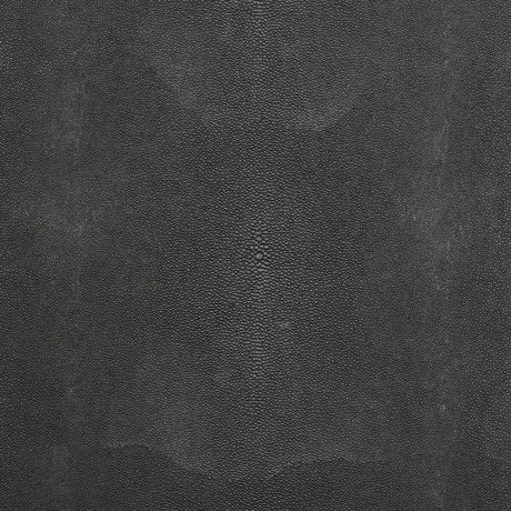 KRAVET DESIGN TREZZO.811.0 KRAVET DESIGN TREZZO-811 Fabric - Eade's Wallpaper