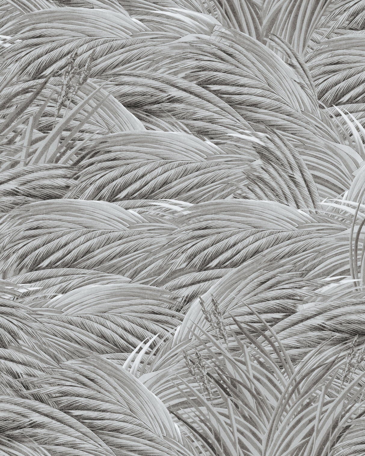 MindtheGap TRIFLORA Neutral - Wallpaper Collection 2024 - The Wetlands