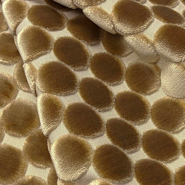 Eade’s TRODO COIN COIN