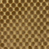 Eade’s TRODO COIN COIN