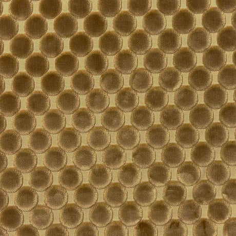 Eade’s TRODO COIN COIN