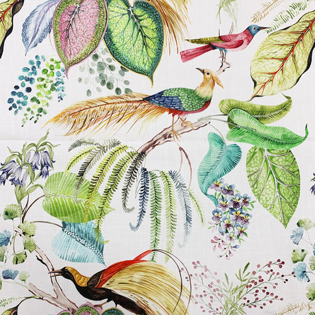 Eade’s TROPIC FESTIVAL FESTIVAL