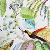 Eade’s TROPIC FESTIVAL FESTIVAL