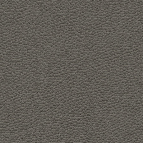 Eade’s # 142 GRAPHITE