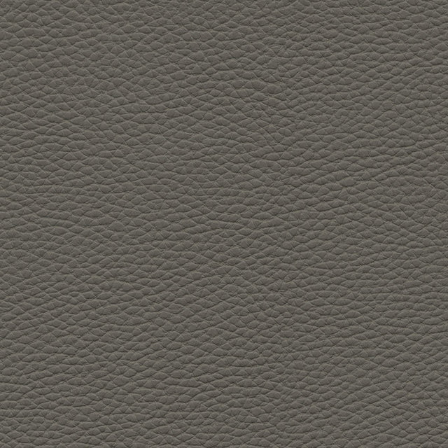 Eade’s # 142 GRAPHITE