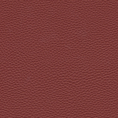 Eade’s # 144 CHERRY