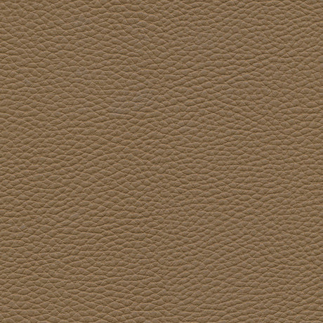 Eade’s # 145 COCONUT