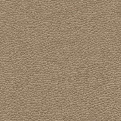 Eade’s # 148 SIENNA