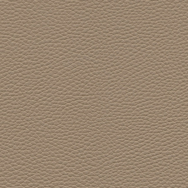 Eade’s # 148 SIENNA