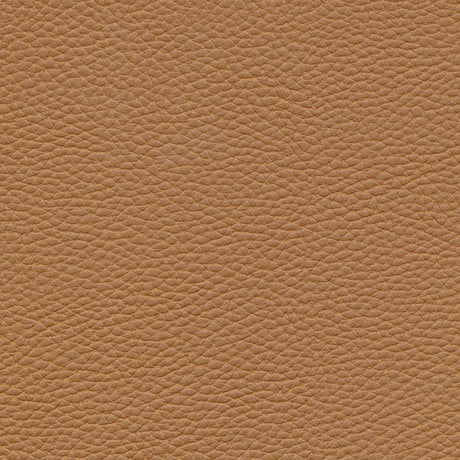 Eade’s # 150 PINTO