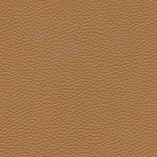 Eade’s # 150 PINTO