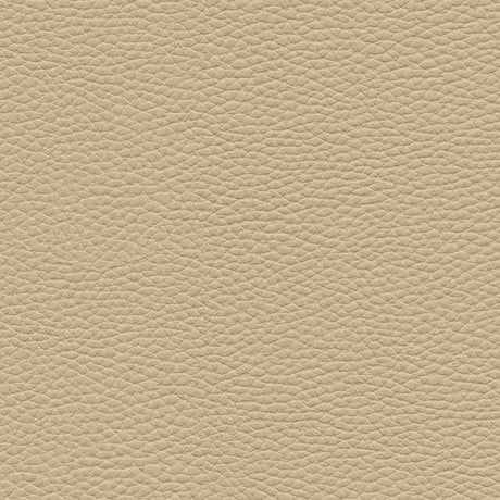 Eade’s # 152 BIRCH