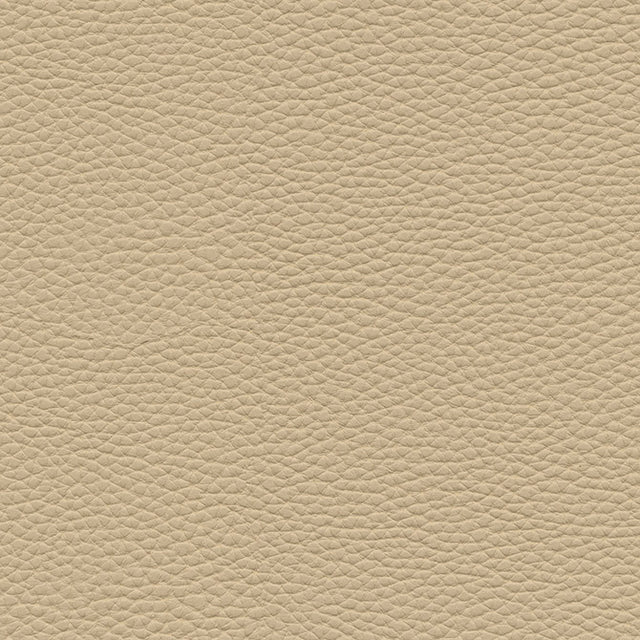 Eade’s # 152 BIRCH