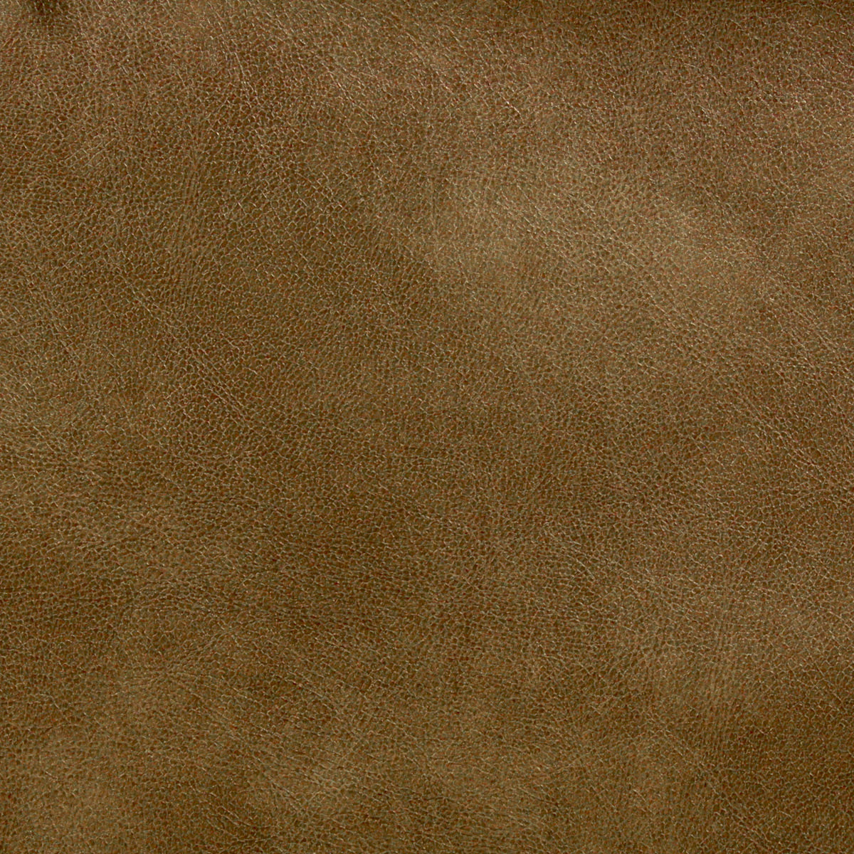 STOUT TURC-10 TURCO 10 PRAIRIE Fabric - Eades Wallpaper & Fabric