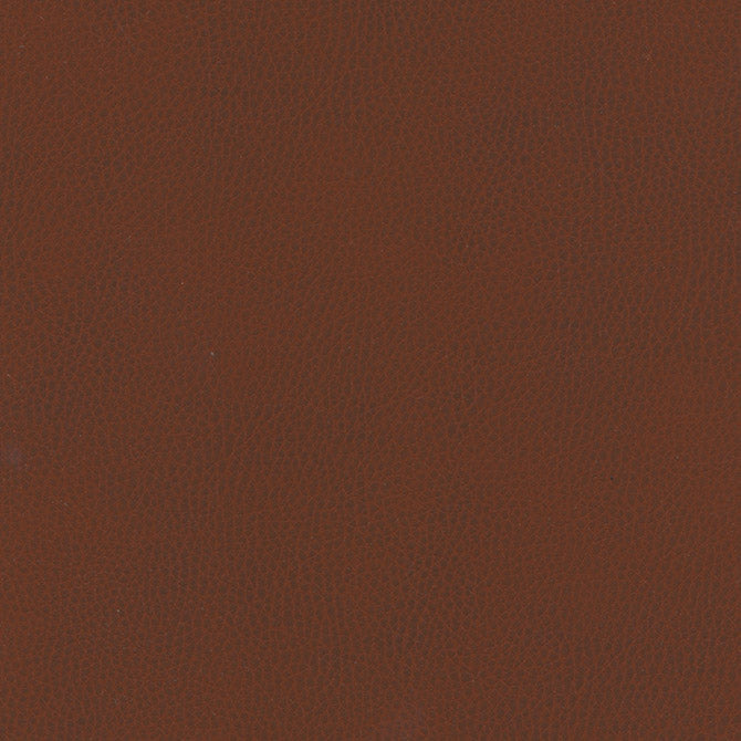 Eade’s # 853 KUTCHA