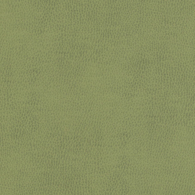 Eade’s # 857 CELERY