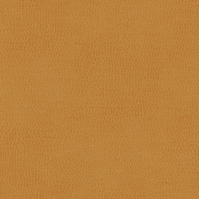 Eade’s # 858 SQUASH