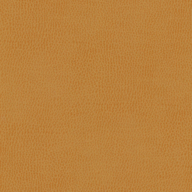 Eade’s # 858 SQUASH