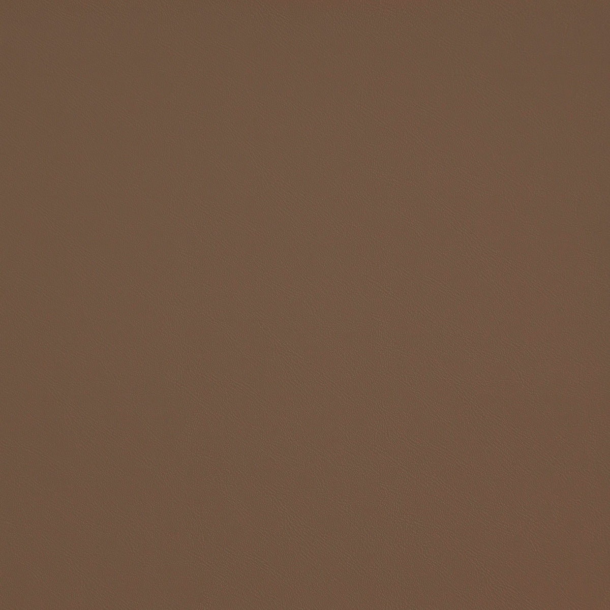 Eade’s # 107 TAN