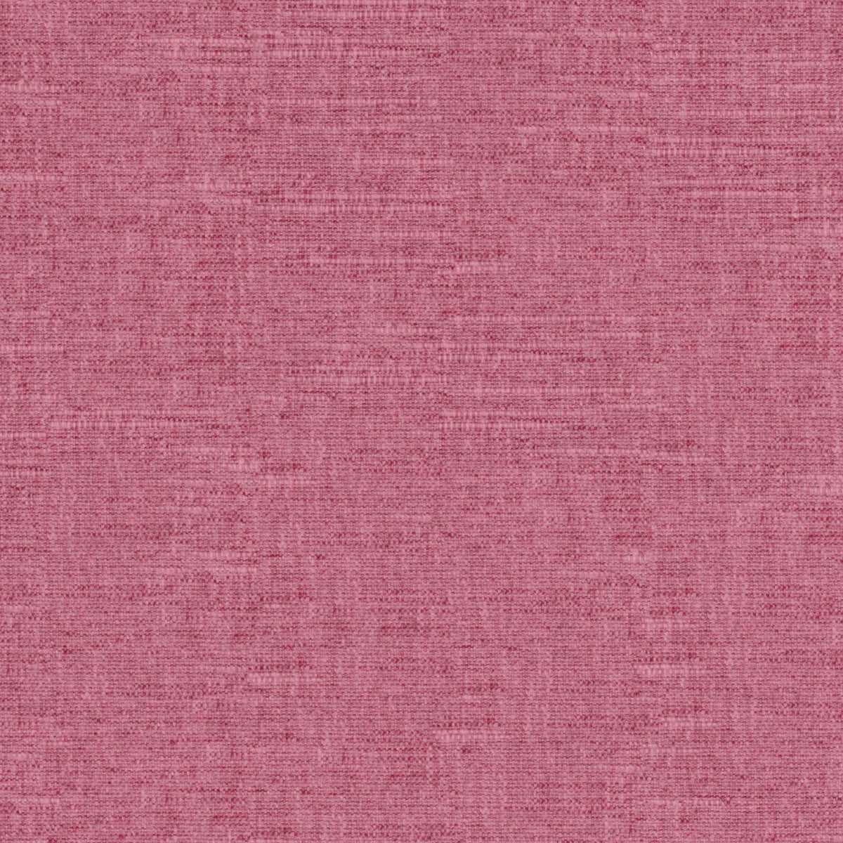Eade’s # 513 PEONY