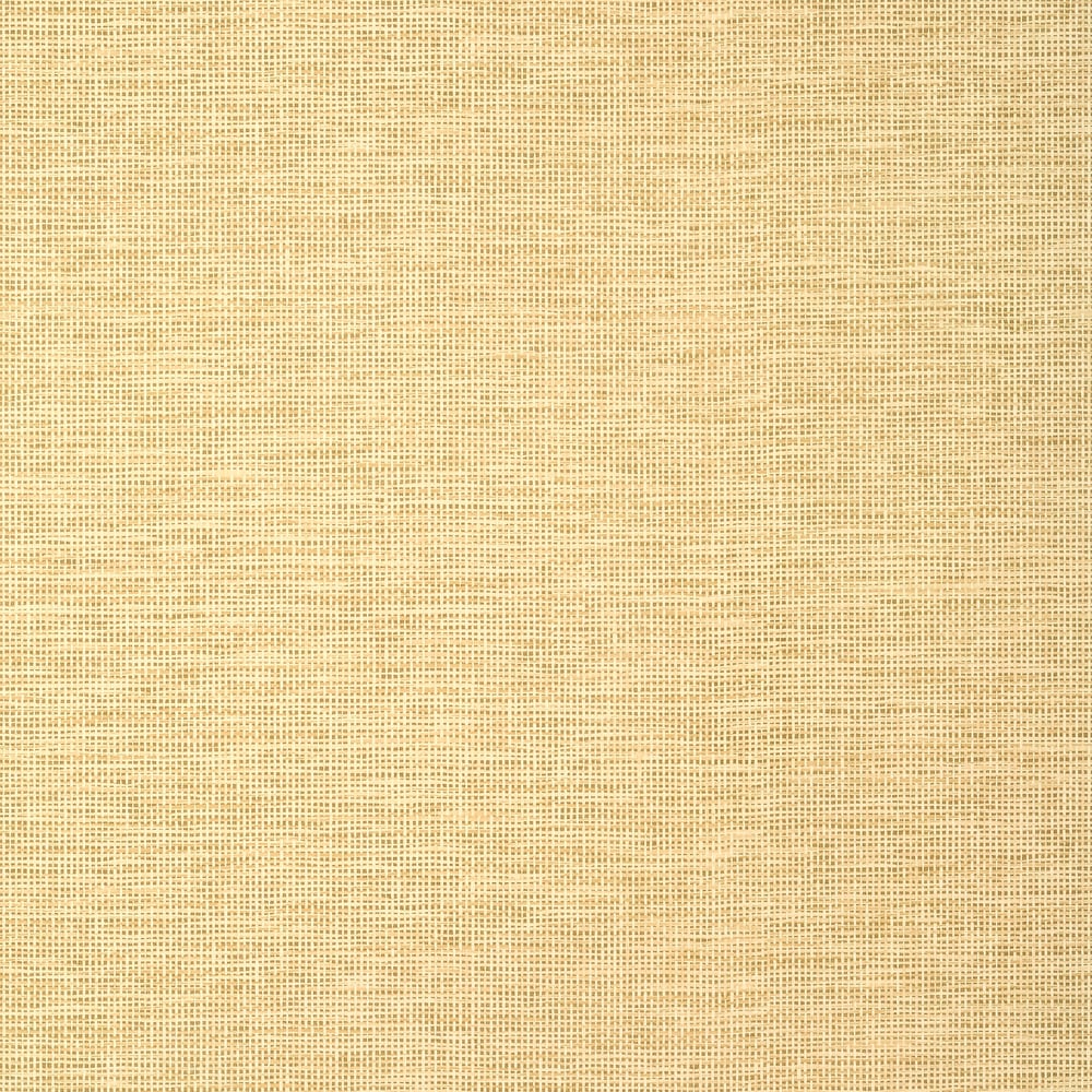 Thibaut TWW14564 SPIRO Straw Wallpaper