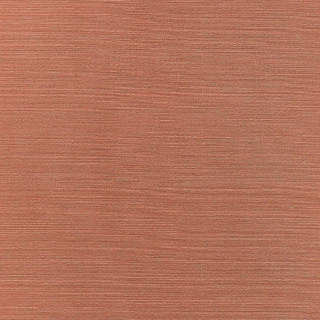 Thibaut TALUK SISAL WIDE WIDTH TWW34038 in Terracotta Wallpa