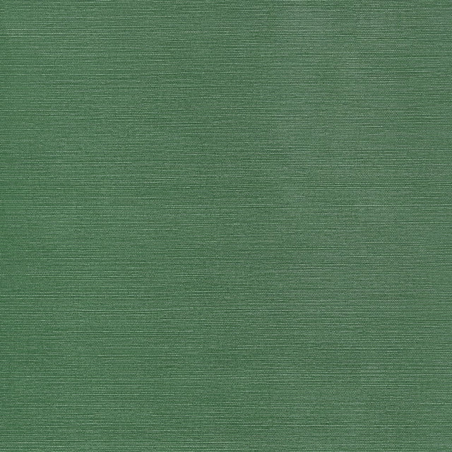 Thibaut TALUK SISAL WIDE WIDTH TWW34039 in Forest Green Wall