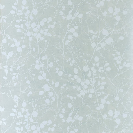 Thibaut KATAMARI BUD WIDE WIDTH TWW34097 in Powder Blue and 