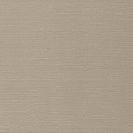 Thibaut TALUK SISAL WIDE WIDTH TWW75147 in Mushroom Wallpape