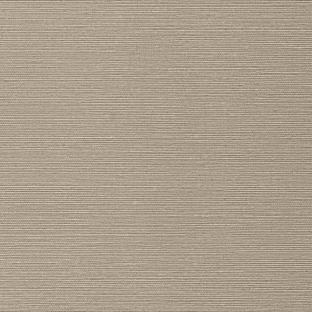 Thibaut TALUK SISAL WIDE WIDTH TWW75147 in Mushroom Wallpape