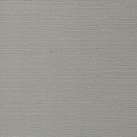 Thibaut TALUK SISAL WIDE WIDTH TWW75150 in Dark Grey Wallpap
