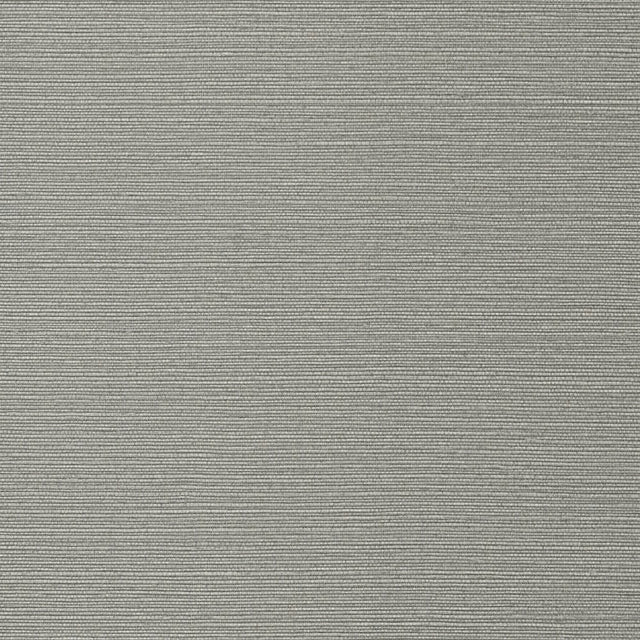 Thibaut TALUK SISAL WIDE WIDTH TWW75150 in Dark Grey Wallpap