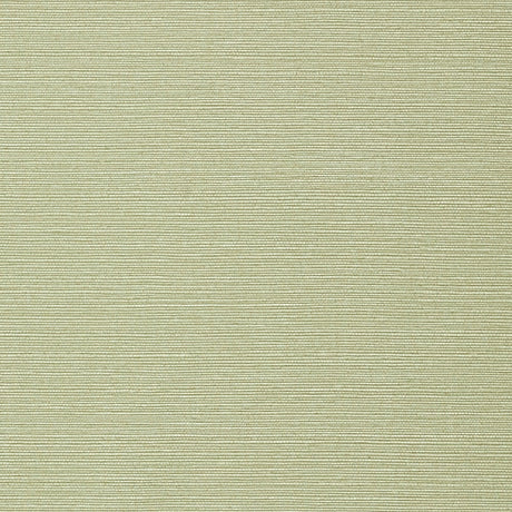 Thibaut TALUK SISAL WIDE WIDTH TWW75153 in Willow Wallpaper 