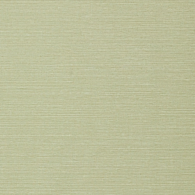 Thibaut TALUK SISAL WIDE WIDTH TWW75153 in Willow Wallpaper 