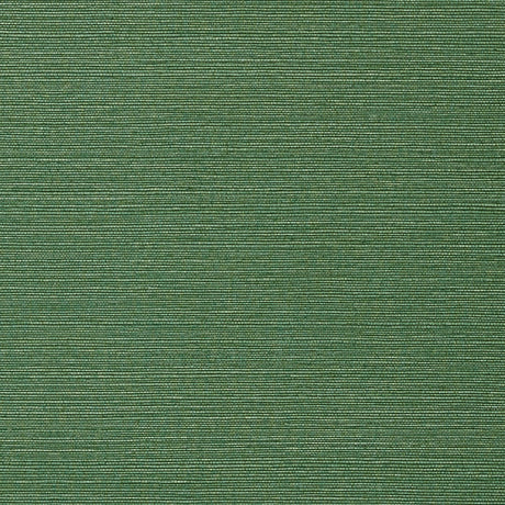 Thibaut TALUK SISAL WIDE WIDTH TWW75154 in Green Wallpaper -