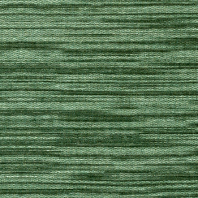 Thibaut TALUK SISAL WIDE WIDTH TWW75154 in Green Wallpaper -