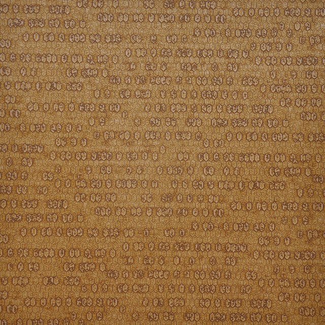 Eade’s # 262 TIGER EYE