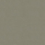 KRAVET DESIGN ULTRASUEDE.1130.0 ULTRASUEDE LEAD Fabric - Eade's Wallpaper