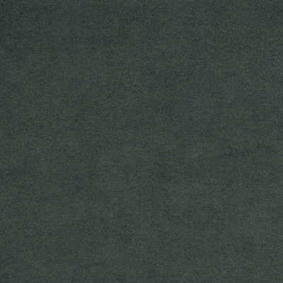 KRAVET DESIGN ULTRASUEDE.330.0 ULTRASUEDE ALPINE Fabric - Eade's Wallpaper