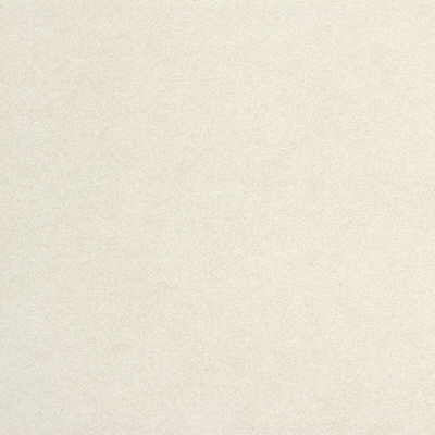 KRAVET DESIGN ULTRASUEDE.611.0 ULTRASUEDE ABALONE Fabric - Eade's Wallpaper