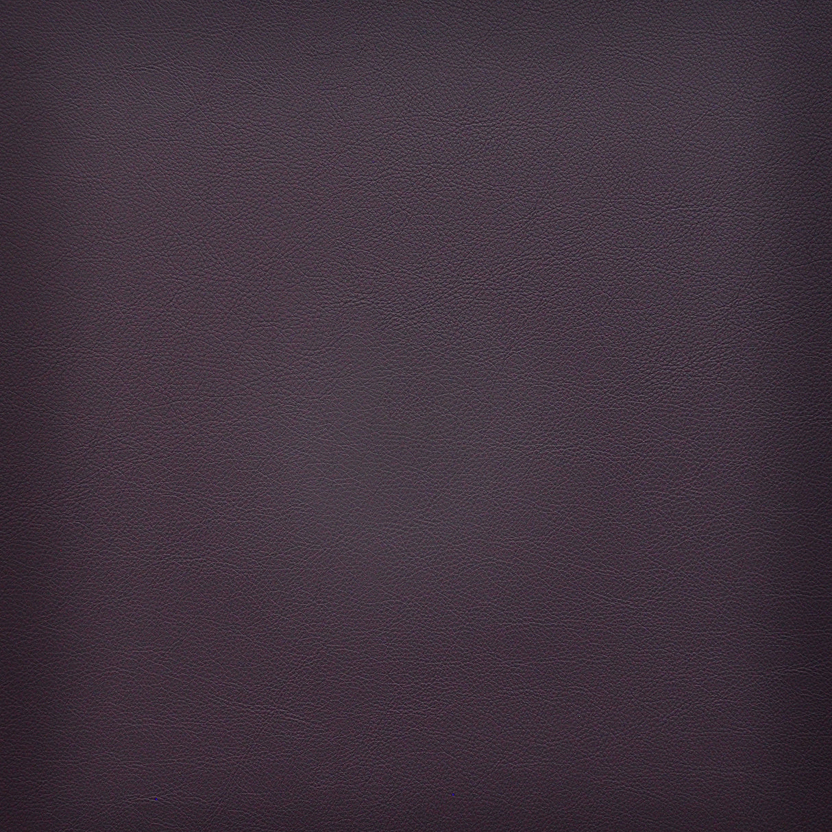Eade’s # 229 GRAPE
