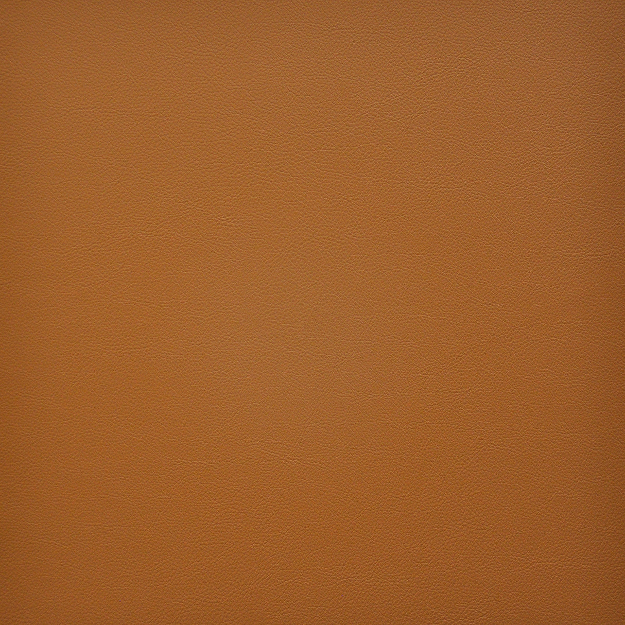 Eade’s # 237 SAFFRON