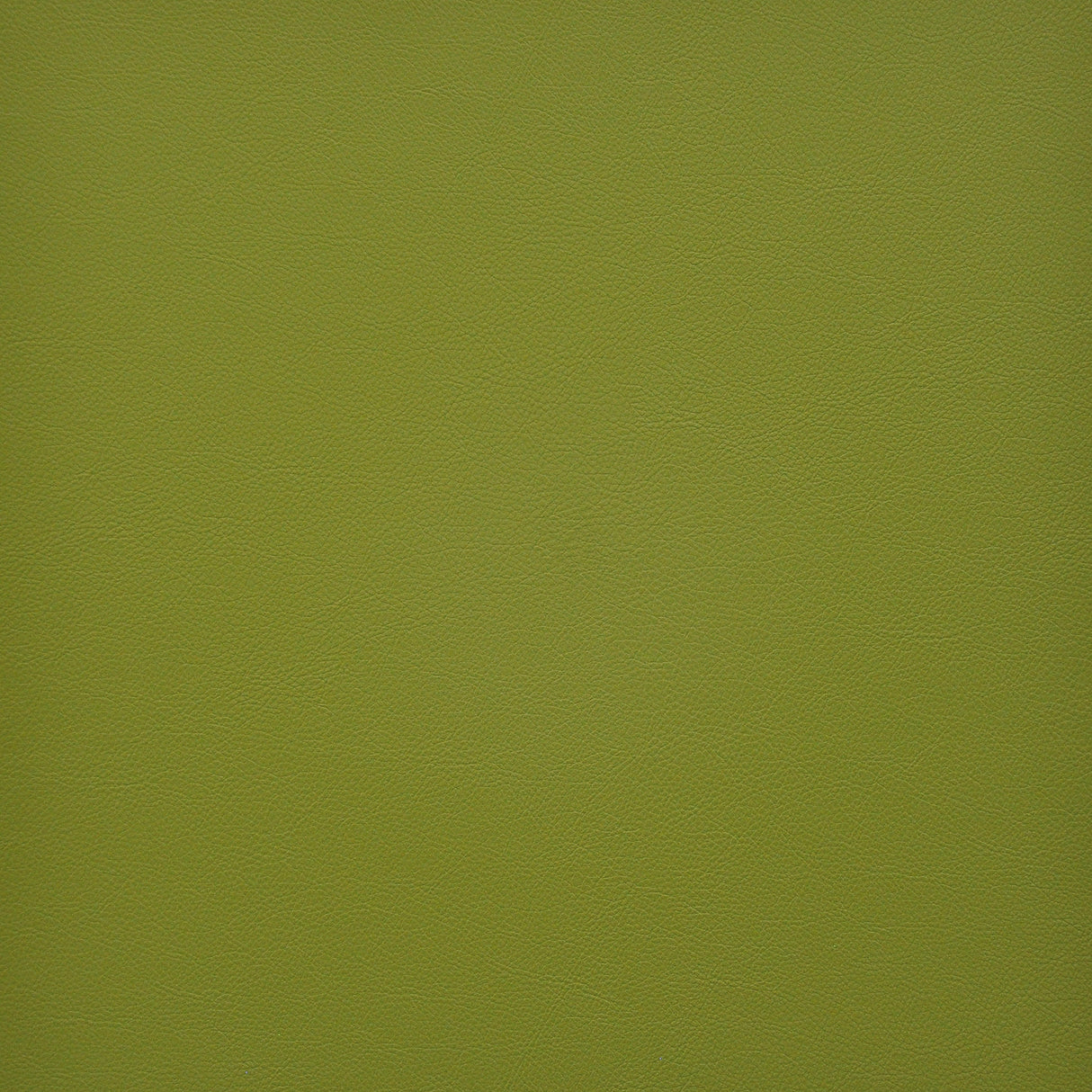 Eade’s # 250 GRANNY SMITH