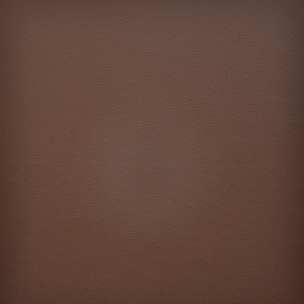 Eade’s # 257 MOCHA